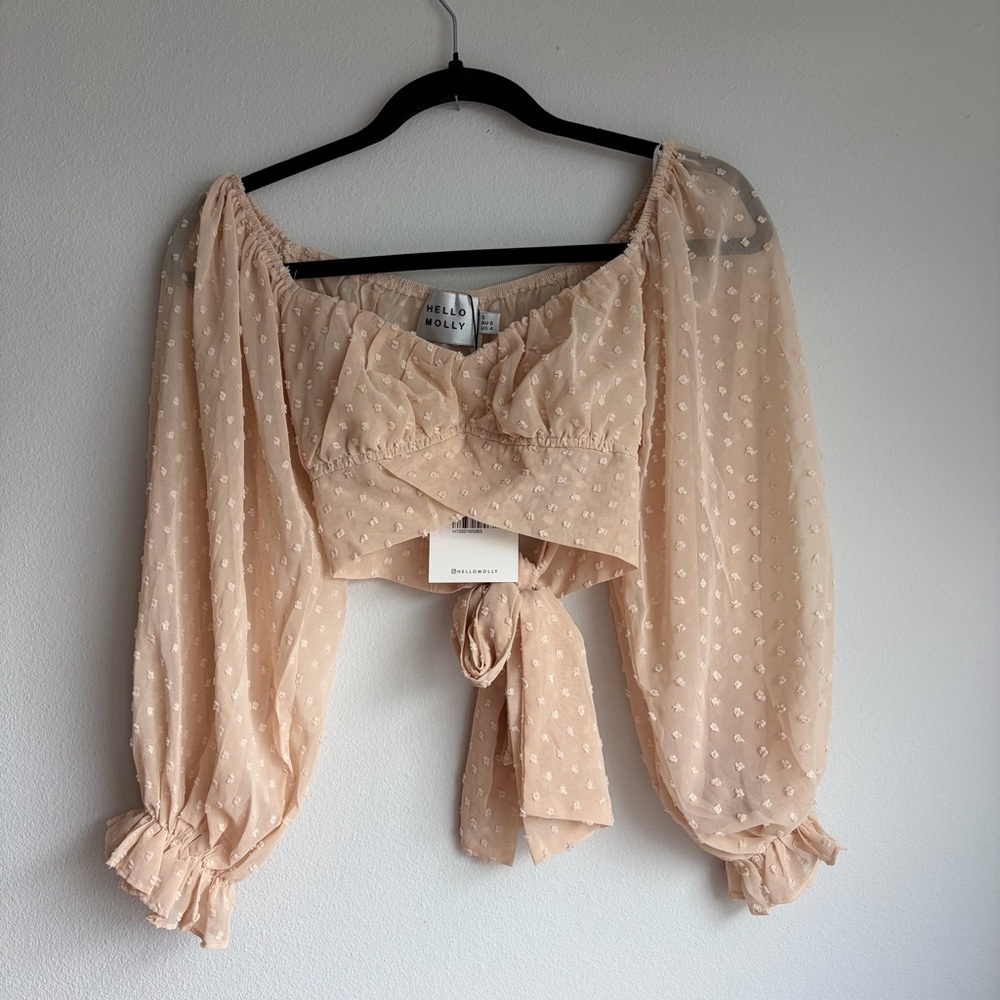 Sheer Polka Dot Cropped Top
